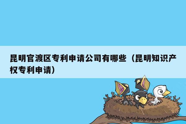 昆明官渡区专利申请公司有哪些（昆明知识产权专利申请）