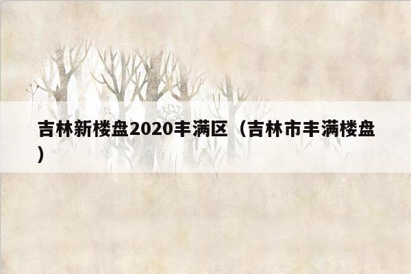 吉林新楼盘2020丰满区（吉林市丰满楼盘）