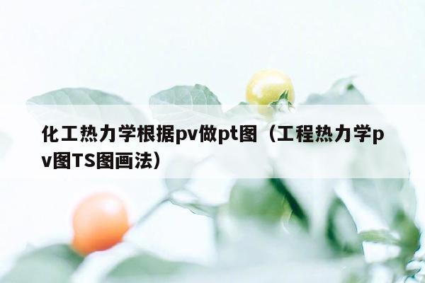 化工热力学根据pv做pt图（工程热力学pv图TS图画法）