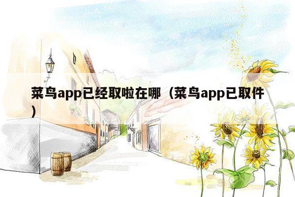 菜鸟app已经取啦在哪（菜鸟app已取件）