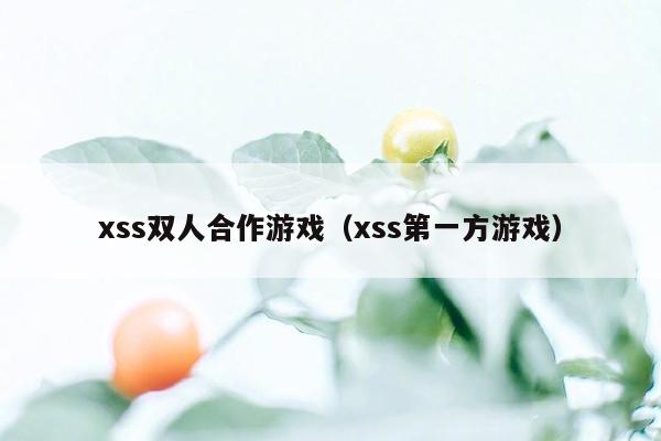 xss双人合作游戏（xss第一方游戏）