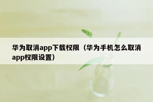 华为取消app下载权限（华为手机怎么取消app权限设置）