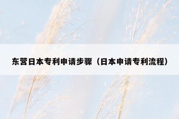 东营日本专利申请步骤（日本申请专利流程）