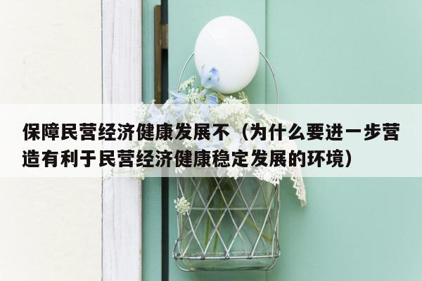 保障民营经济健康发展不（为什么要进一步营造有利于民营经济健康稳定发展的环境）