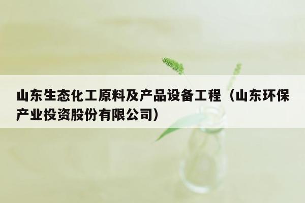 山东生态化工原料及产品设备工程（山东环保产业投资股份有限公司）