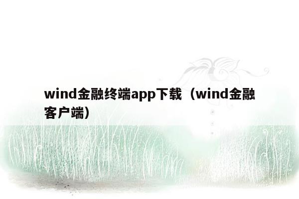 wind金融终端app下载（wind金融客户端）