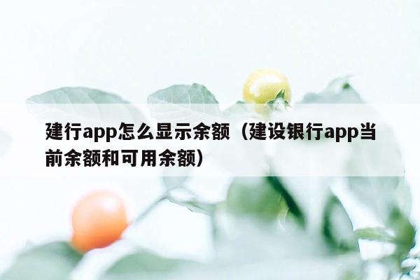 建行app怎么显示余额（建设银行app当前余额和可用余额）