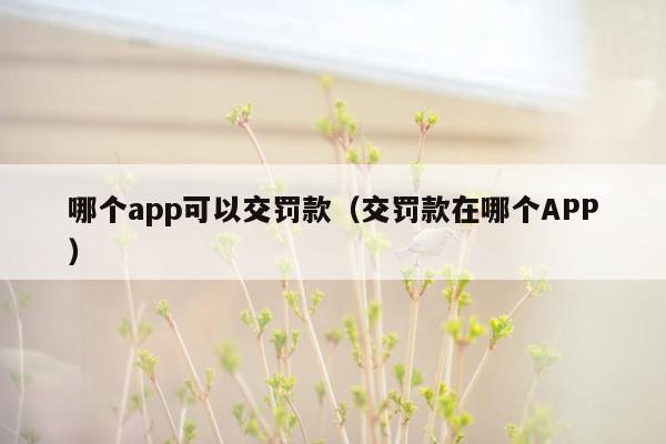 哪个app可以交罚款（交罚款在哪个APP）