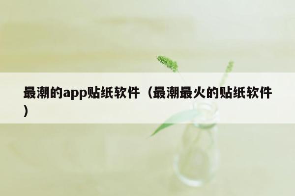 最潮的app贴纸软件（最潮最火的贴纸软件）