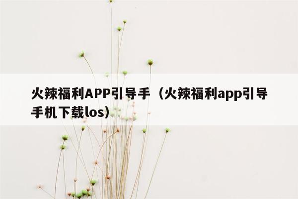 火辣福利APP引导手（火辣福利app引导手机下载los）