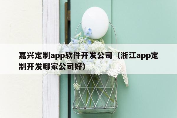 嘉兴定制app软件开发公司（浙江app定制开发哪家公司好）