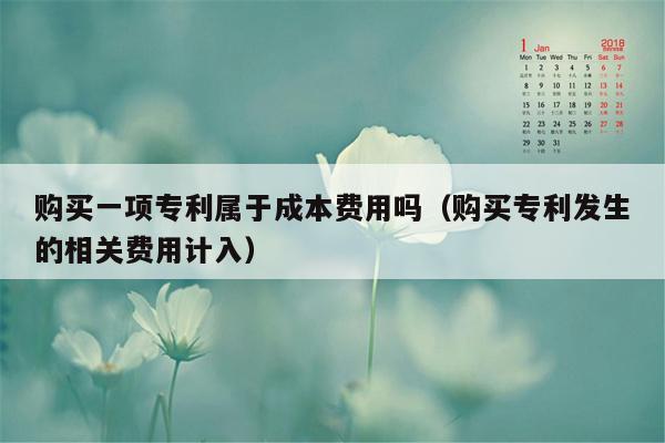 购买一项专利属于成本费用吗（购买专利发生的相关费用计入）