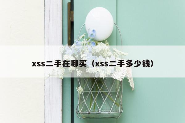 xss二手在哪买（xss二手多少钱）