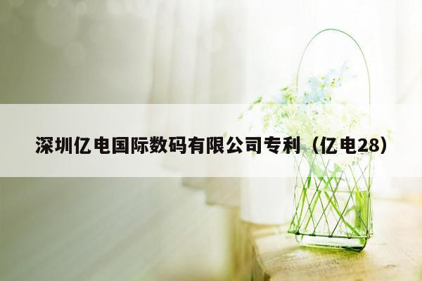 深圳亿电国际数码有限公司专利（亿电28）