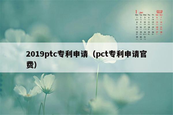 2019ptc专利申请（pct专利申请官费）
