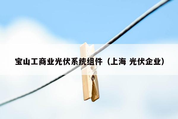 宝山工商业光伏系统组件（上海 光伏企业）