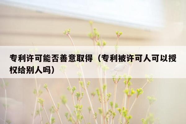 专利许可能否善意取得（专利被许可人可以授权给别人吗）