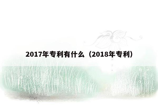 2017年专利有什么（2018年专利）