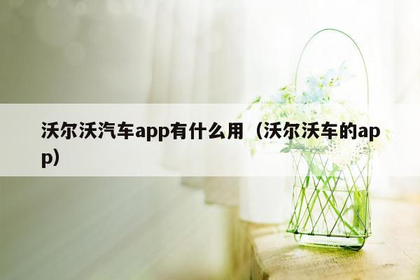 沃尔沃汽车app有什么用（沃尔沃车的app）