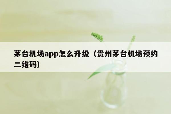 茅台机场app怎么升级（贵州茅台机场预约二维码）