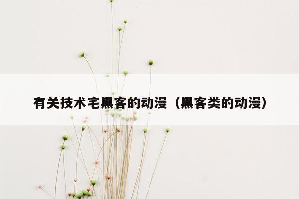 有关技术宅黑客的动漫（黑客类的动漫）