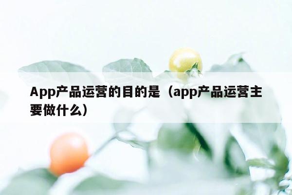 App产品运营的目的是（app产品运营主要做什么）