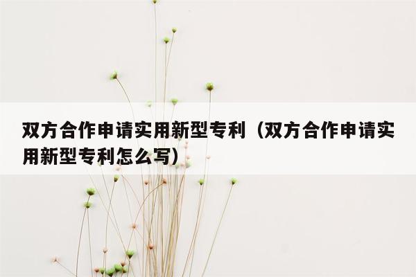 双方合作申请实用新型专利（双方合作申请实用新型专利怎么写）