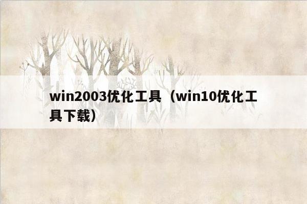 win2003优化工具（win10优化工具下载）