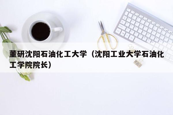 董研沈阳石油化工大学（沈阳工业大学石油化工学院院长）