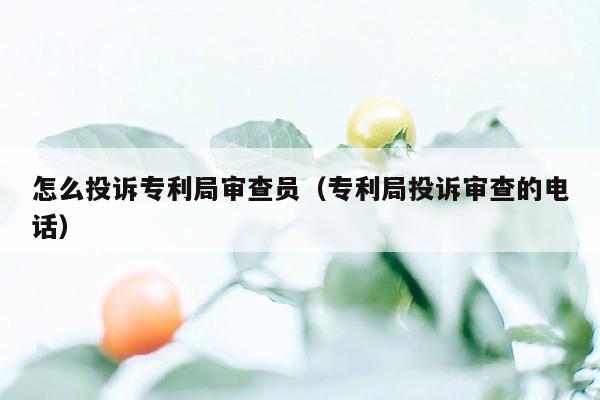 怎么投诉专利局审查员（专利局投诉审查的电话）