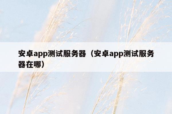 安卓app测试服务器（安卓app测试服务器在哪）