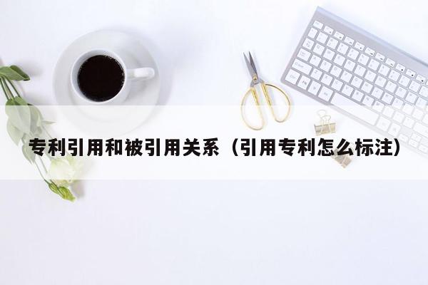 专利引用和被引用关系（引用专利怎么标注）