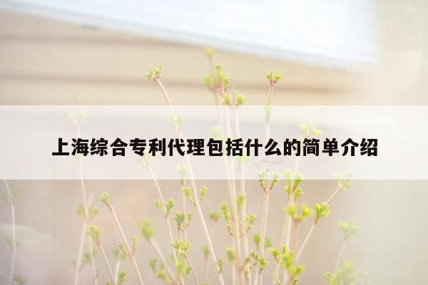 上海综合专利代理包括什么的简单介绍