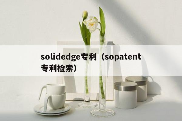 solidedge专利（sopatent专利检索）