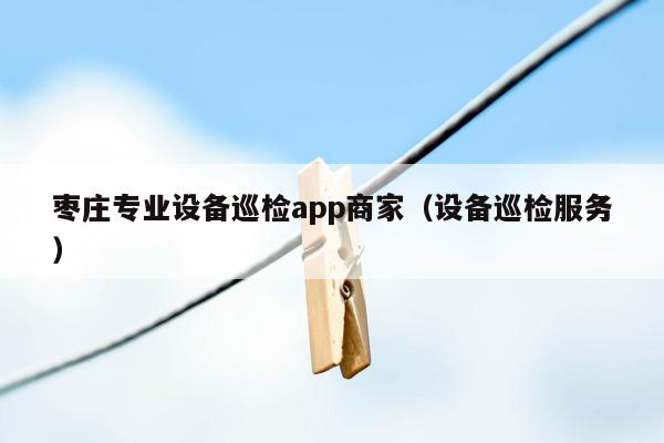 枣庄专业设备巡检app商家（设备巡检服务）