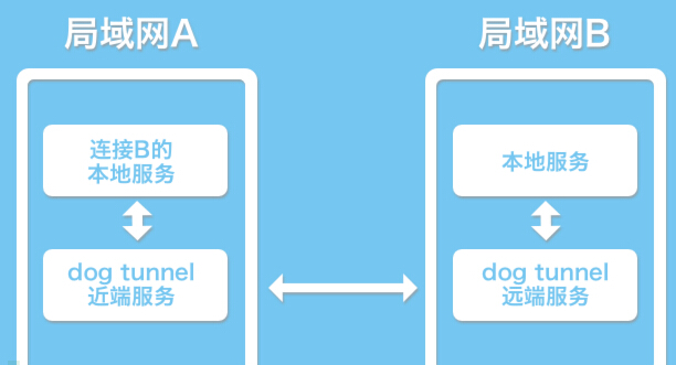 P2P端口映射开源工具：狗洞(dog-tunnel)