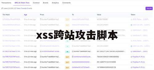 xss跨站攻击脚本（xss跨站脚本攻击防御）