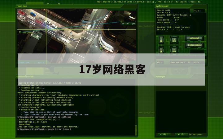 17岁网络黑客（十七岁黑客）