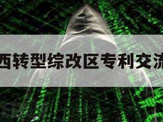 山西转型综改区专利交流会（山西综改示范区创新发展部部长）