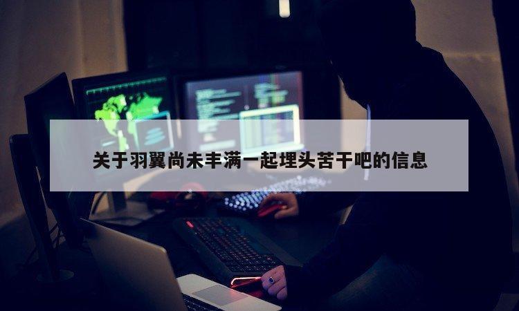 关于羽翼尚未丰满一起埋头苦干吧的信息