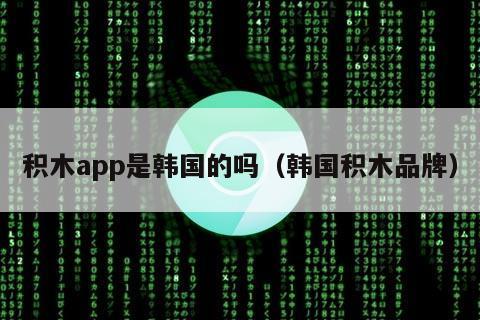 积木app是韩国的吗（韩国积木品牌）