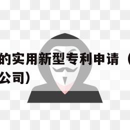 清镇市专业的实用新型专利申请（专业实用新型专利申请公司）