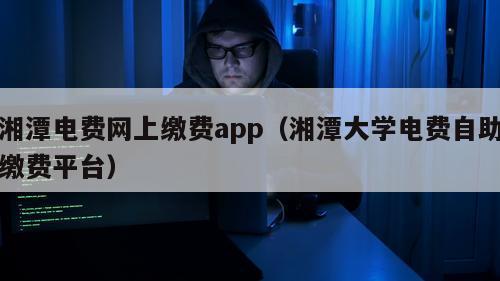 湘潭电费网上缴费app（湘潭大学电费自助缴费平台）