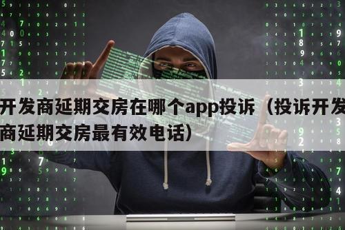 开发商延期交房在哪个app投诉（投诉开发商延期交房最有效电话）