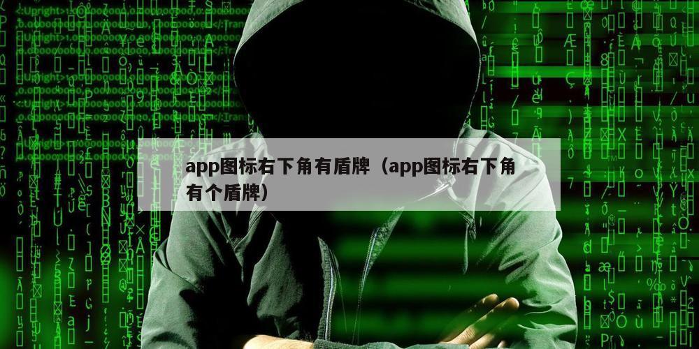 app图标右下角有盾牌（app图标右下角有个盾牌）