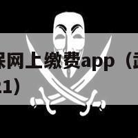 武汉儿童社保网上缴费app（武汉儿童社保网上缴费2021）