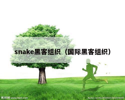 snake黑客组织（国际黑客组织）