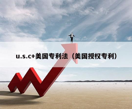 u.s.c+美国专利法（美国授权专利）