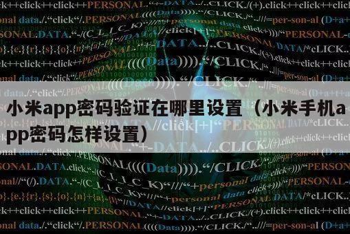 小米app密码验证在哪里设置（小米手机app密码怎样设置）