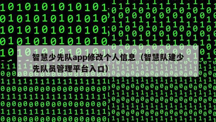 智慧少先队app修改个人信息（智慧队建少先队员管理平台入口）